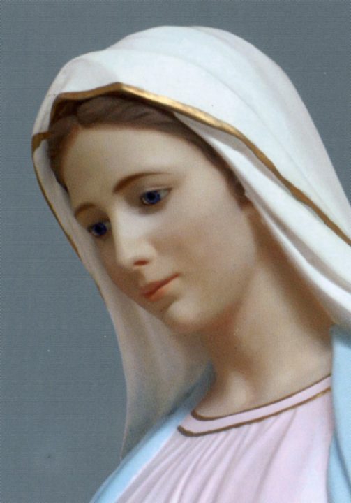 Mensagem de Nossa Senhora em Medjugorje dia 25/01/2020 através da vidente Marija Pavlovic