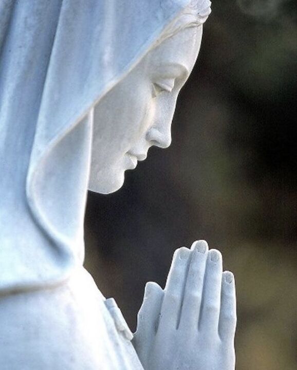 Mensagem de Nossa Senhora dia 25 de agosto de 2021  através da vidente Marija Pavlović Lunetti