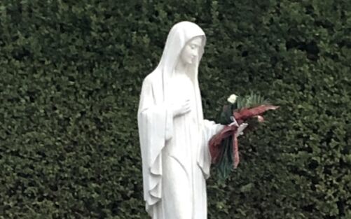 Coração Doloroso e Imaculado de Maria: “Em Medjugorje, manifestando-Me como  a Rainha da Paz, já cessei Minhas aparições dos dias 2 de cada mês. Pelo  que, neste, Meu Aposento, culminarei o que